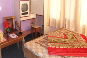 Hotel Shri Krishna Palace