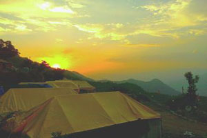 Camp Dhanaulti Magic