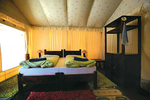 Sattal Birding Lodge