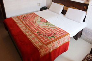 Hotel Gayatri Deluxe