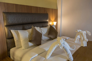Hotel Dunsvirk Court