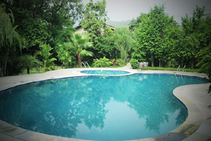 Country Club Wild Exotica