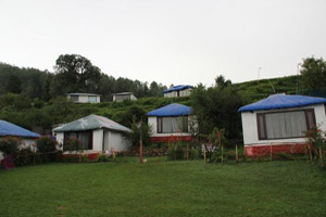 Kampland Nature Resort