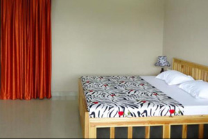 Hotel Spring Birds,