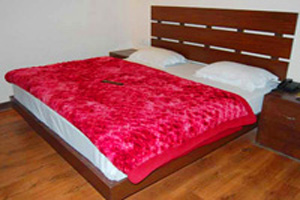 Hotel Regency Shyam Sunder