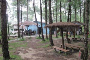 Jungle Resort The Retreat Anand