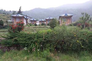 Dayara Resort