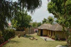 Jungle Adventure Camp