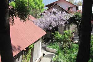The Cottage