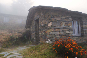 Chaani Churani