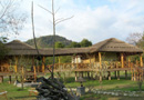 Camp Riverwild 