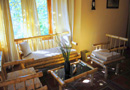 Wild Tusker Lodge