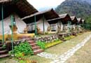 High Bank Himalayan Retreat- 