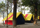 Camp-A-Star 