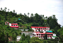 Alka