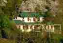 Shaheen bagh