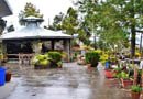 Mohan's Binsar Retreat
