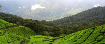Uttrakhand Delight - Nainital and Corbett(Code:AS-15) Uttrakhand Delight - Nainital and Corbett(Code:AS-15)