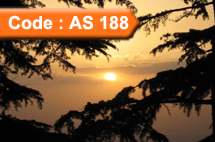Shimla Honeymoon Package (Code:AS-188) Shimla Honeymoon Package (Code:AS-188)