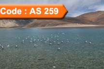 Explore Ladakh (Code:AS-259)