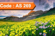 Trek to Valley of Flowers (Code:AS-269)