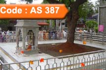 All Seasons - Shirdi, Aurangabad Package (Code:AS-387)