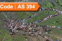 Amarnath Yatra with Gulmarg 3 Night Package (Code:AS-394)