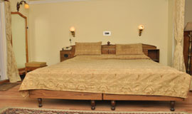 Premium Suite 