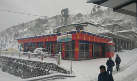 Hotels In Dhanaulti