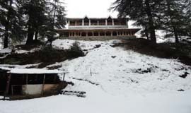 Hotels In Almora