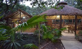 Hotels In Corbett