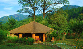 Hotels In Corbett