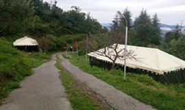 Hotels In Dhanaulti