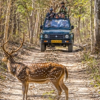 Bijrani safari zone forest trail in Jim Corbett National Park