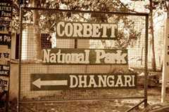 Dhangadi Gate