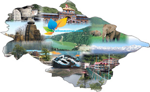 We are based at your destination!!
