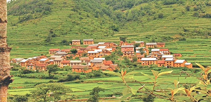 Uttarakhand News