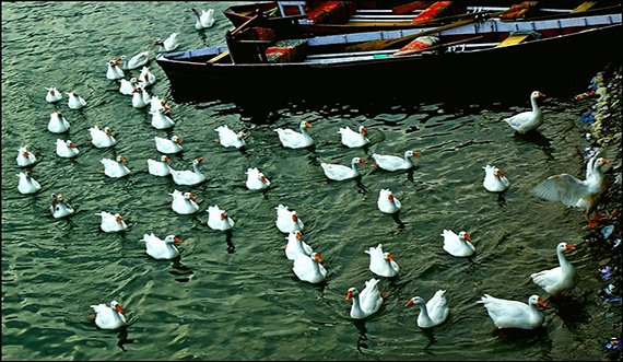 Bhimtal Holiday Packages
