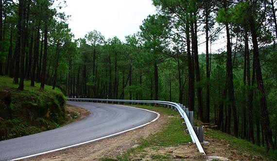 Binsar Holiday Packages