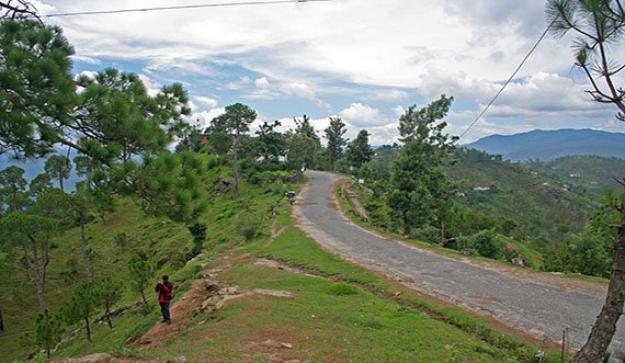 Binsar Holiday Packages