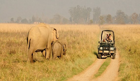 Corbett Holiday Packages