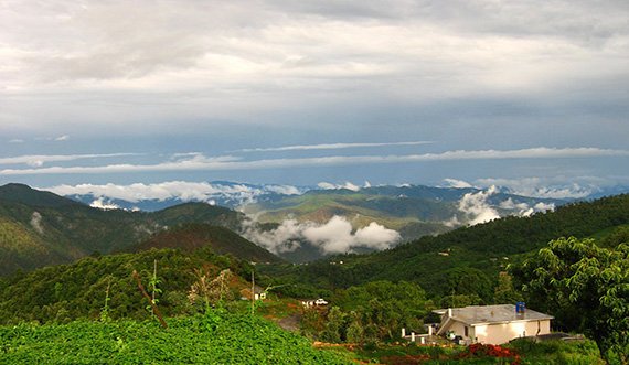 almora Holiday Packages