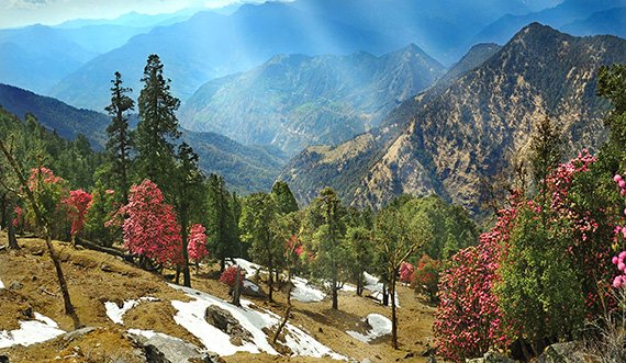 almora Holiday Packages