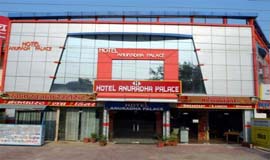 Anuradha Palace