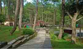 Binsar Wildlife Sanctuary
