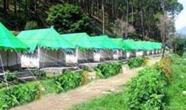 Campveda Camps and Resorts