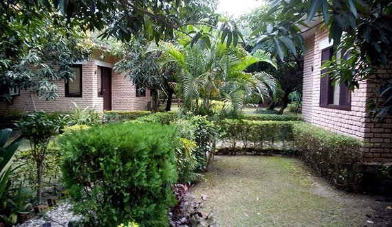 Corbett Holiday Packages