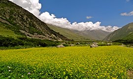 Sangla Fun Activity