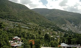 Mcleod Ganj Nature