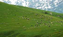 Uttarkashi Kids Attractions